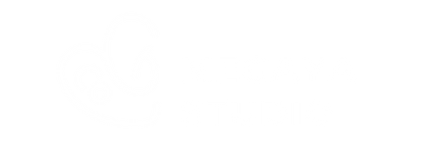 MEGAYA STUDIO